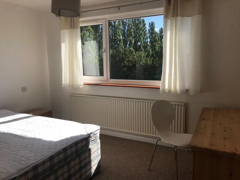 Lincoln Bishop // 4 Bed House // Sep 2026 - Image 7